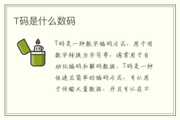 T码是什么数码(t桖码数)